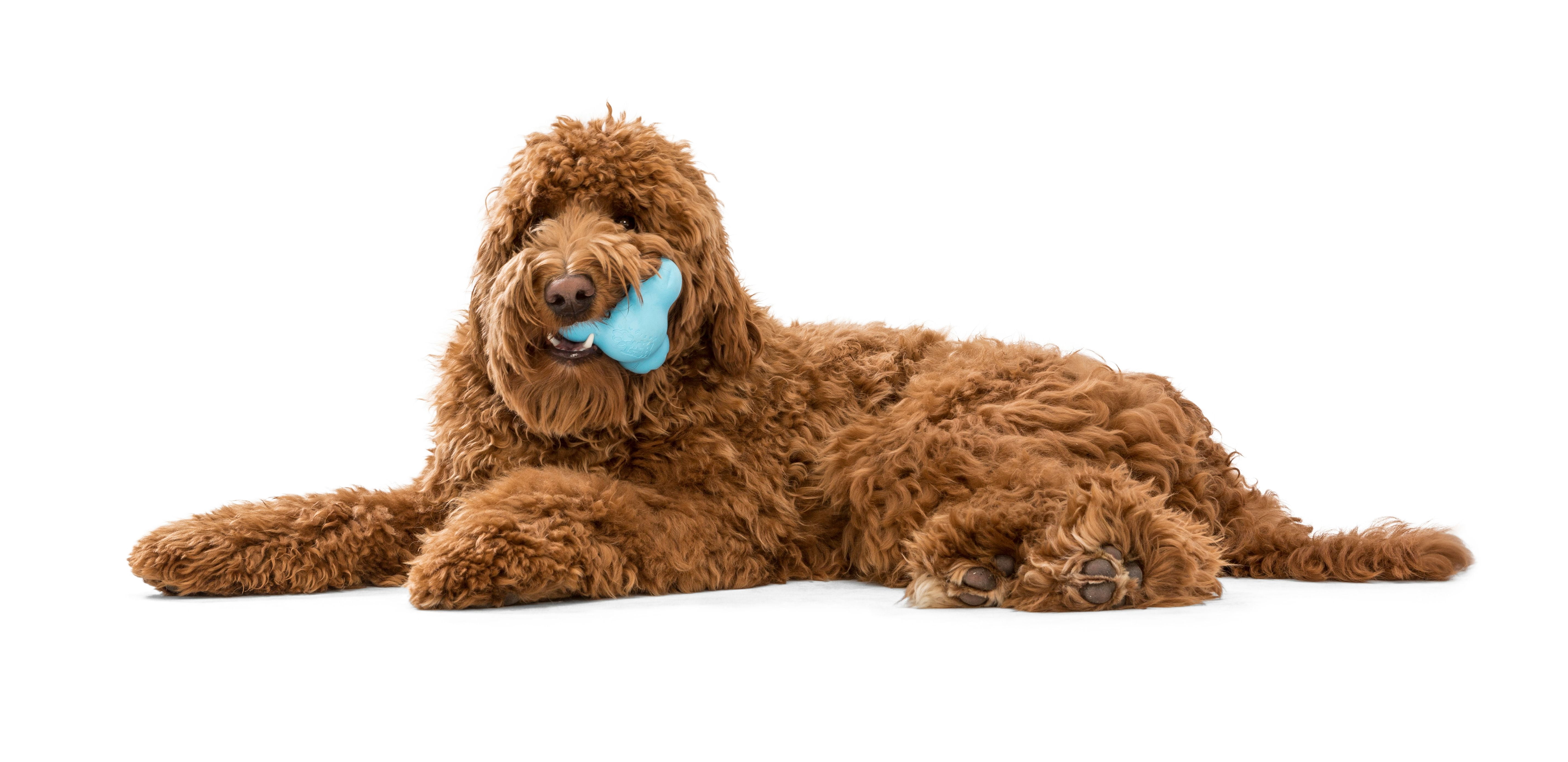 West Paw Zogoflex Tux Large 5" Dog Toy Aqua