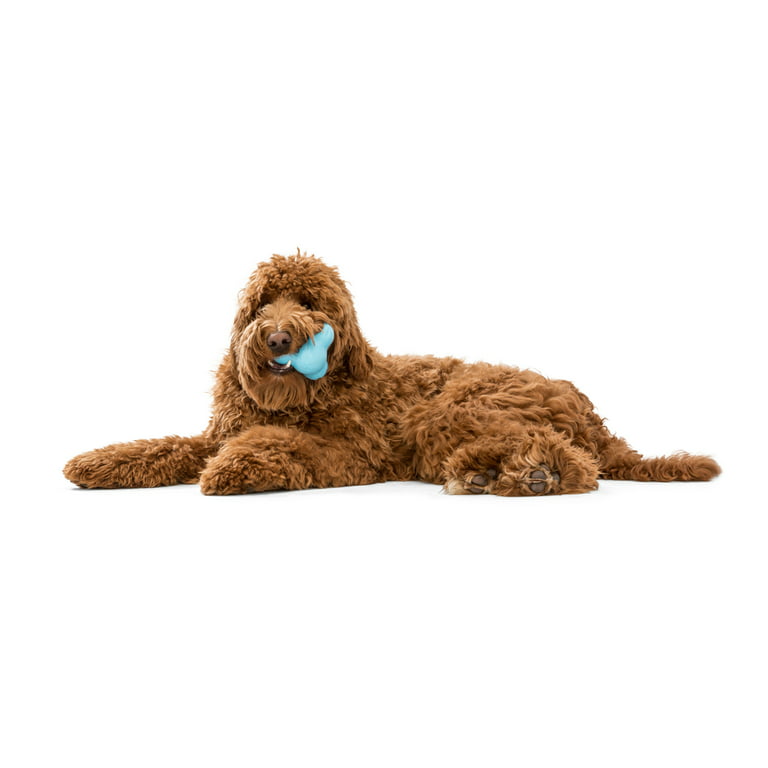West Paw Tux Treat Assorted Dog Chew Toy, Small
