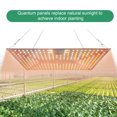 thumbnail image 4 of Graflsoa 50W Full Spectrum LED Grow Light for Succulents and Greenhouse Seedlings, 240 Beads, US Plug, No Battery Included, 4 of 6