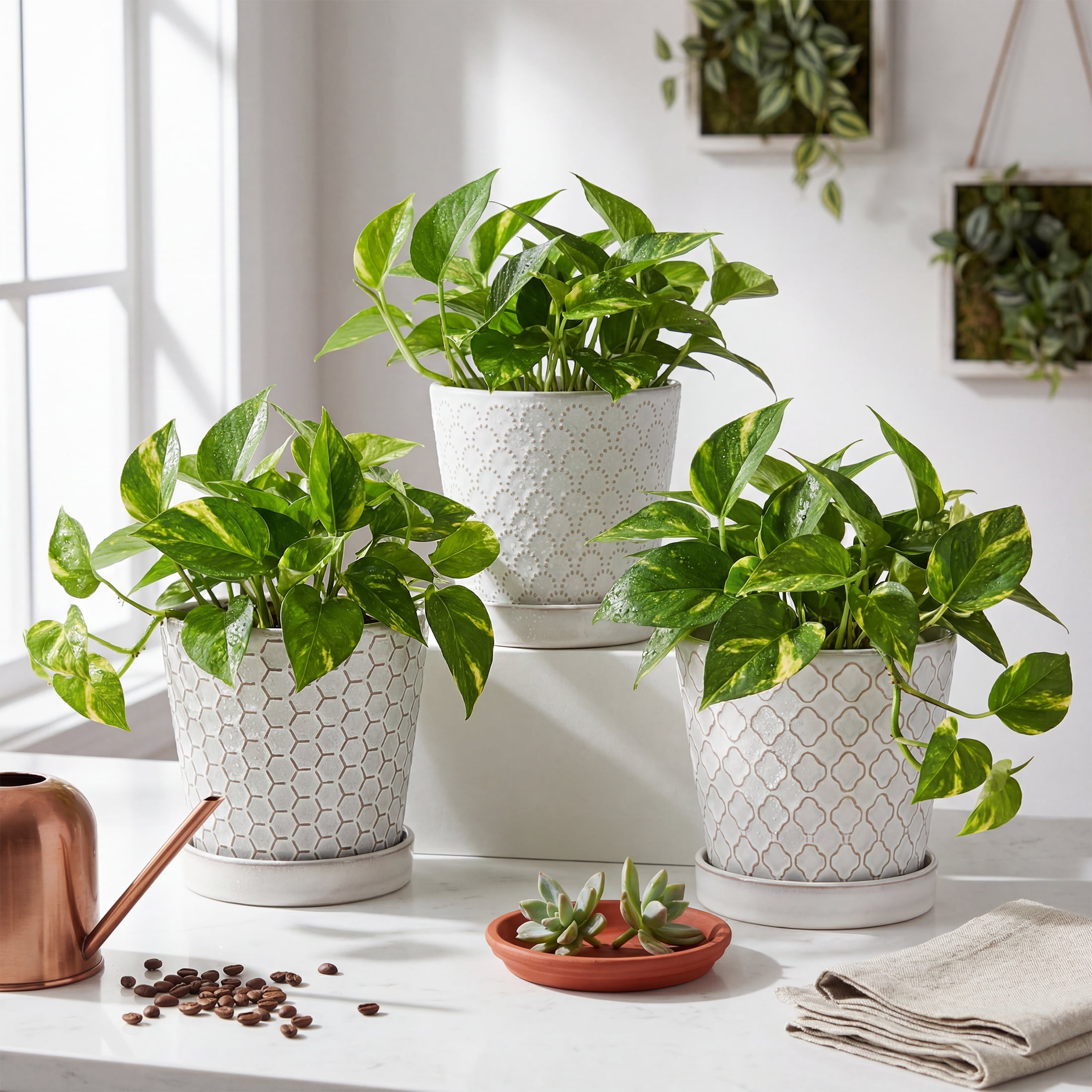EFISPSS 5 inch White Ceramic Plant Pots with Drainage Holes and Tray, 4-Pack Indoor Flower Pots for Herbs, Cactus, Home & Office Decor