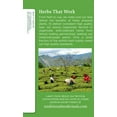 thumbnail image 3 of Traditional Medicinals Green Tea with Ginger Green Tea Organic, 16 CT (Pack of 3), 3 of 6