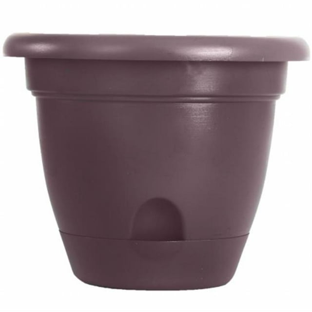 Bloem LP1256 Bloem 12 Po. Lucca Planter Exotica LP1256