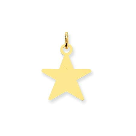 14K Yellow Gold .011 Gauge Star Disc Charm Pendant MSRP $142