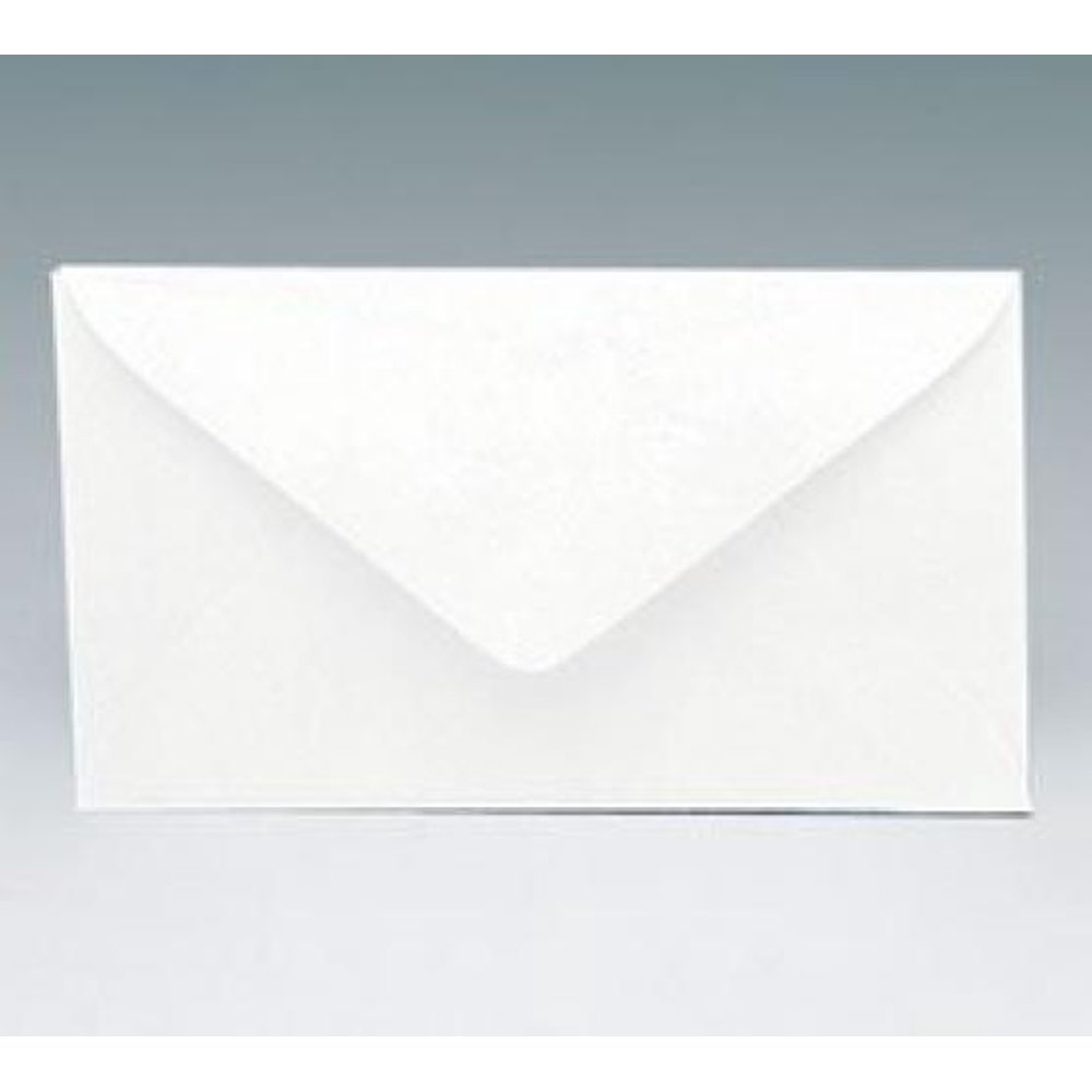 Enclosure Card 63 Envelopes 2 1/2" X 4 1/2" Gift Supplies 50 Pack