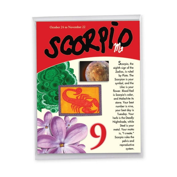 1 Large Happy Birthday Greeting Card (8.5 x 11 Inch) - Scorpio Birthday Card J9449