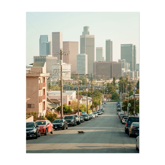 Big Cat on Beaudry Avenue - Los Angeles California Photography Cityscape Skyline Street Photography Architecture Cat Unframed Wall Art Print 6 x 8 inches