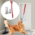 thumbnail image 3 of Perro al aire libre Bungee Colgando Juguete Puerta Colgando Tug Juguete Tether Rojo Yuyangstore Tire de la bola de la cuerda, 3 of 8