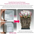 thumbnail image 5 of Meshpot Succulent Pot with Holes Cactus Lithop Pot Root Control Succulent Planter 10pack 20Pack, 5 of 8