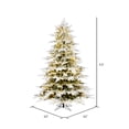 thumbnail image 2 of Vickerman 5.5' x 52" Flocked Kamas Fraser Tree, Warm White Low Voltage 3MM LED Lights., 2 of 4