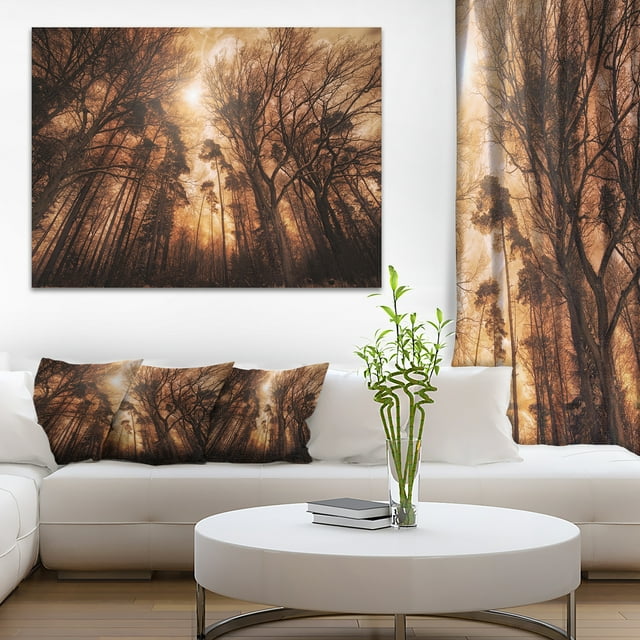 Picturesque Autumn Forest - Landscape Photography Canvas Print