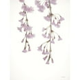 thumbnail image 3 of Deiter, Lori 19x24 Black Modern Framed Museum Art Print Titled - Weeping Cherry on White I, 3 of 5