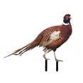 thumbnail image 1 of Figuras de faisán para decoración de suelo, manualidades, adornos con estacas de animales fáciles de usar A, 1 of 9