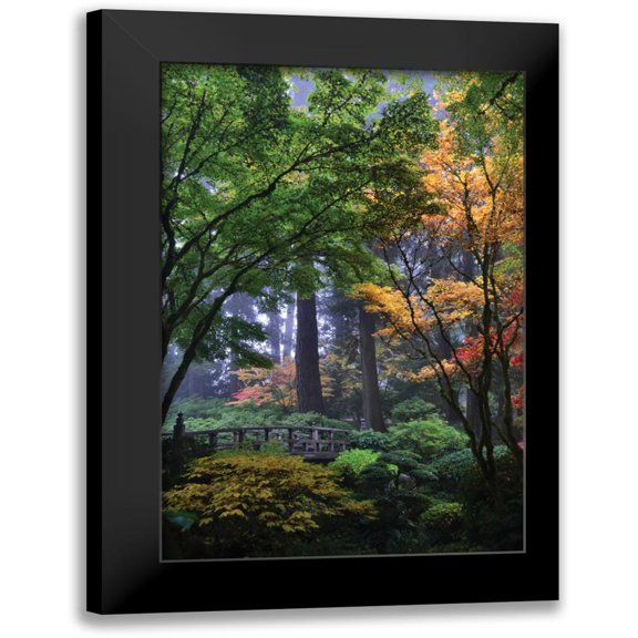 Moore, Brian 11x14 Black Modern Framed Museum Art Print Titled - Japanese Gardens III