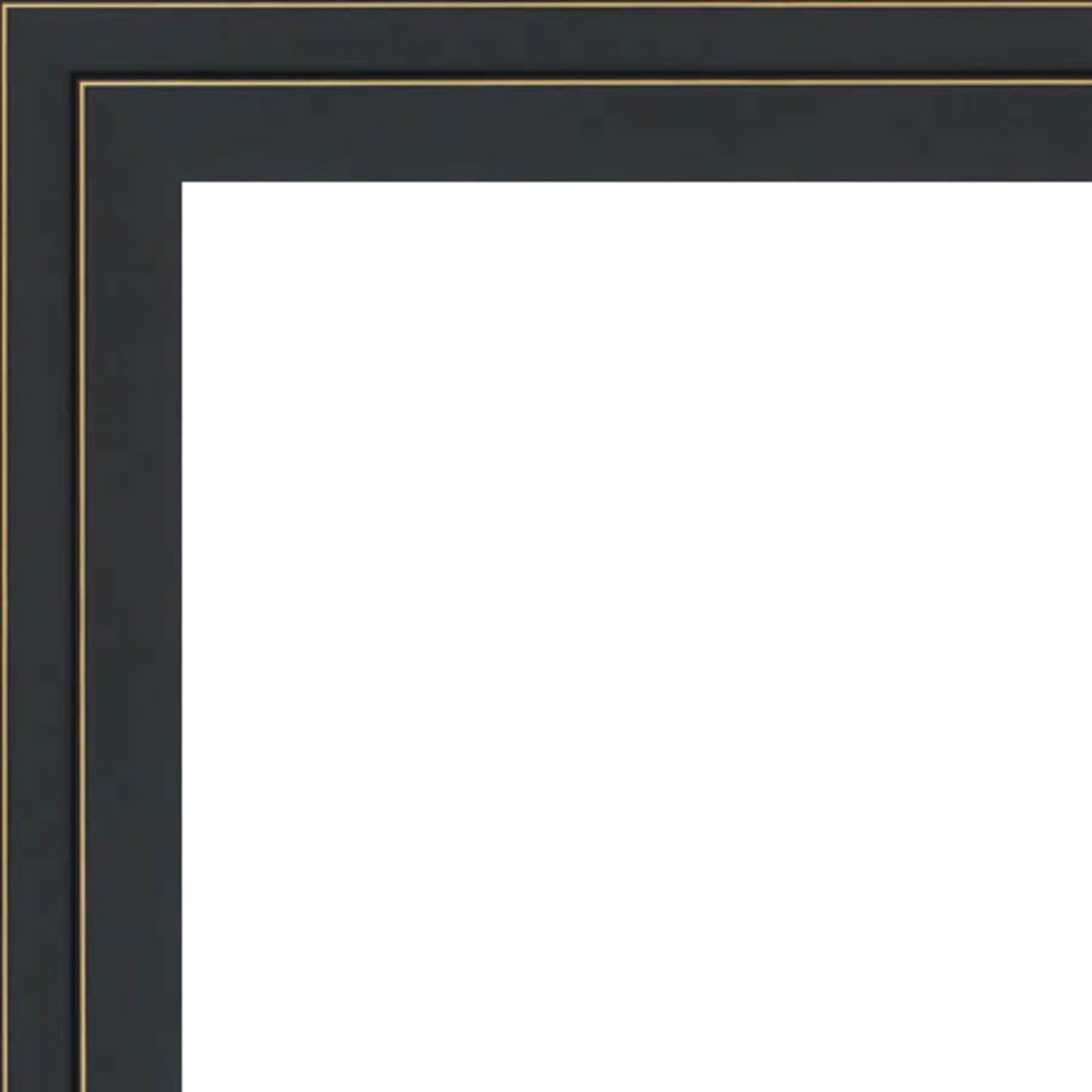 12x24 12 x 24 Black and Gold Pinstripe Solid Wood Frame with UV