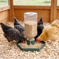 thumbnail image 5 of Quail Feeder and Waterer for Farm,Gravity Auto Poultry Food Dispenser,Dry/Wet Separation,Multi-Functional Water & Feed Container for Chicks,Quails & Small Farm Birds,Green, 5 of 7