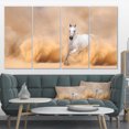 thumbnail image 1 of Design Art - Arabian Horse in Desert Storm, 1 of 3