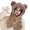 Brown, variant on sunsanly Women Winter Integrated Hat And Scarf Thick Fleece Warm Cartoon Fox Ear Decor Windproof Full Protection Outdoor Travel Cold Weather Snowboarding Camping Cap