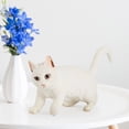 thumbnail image 1 of DPTALR Simulation Toys Figurines Home Decorate Preschool Educational Gift, 1 of 6