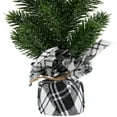 thumbnail image 5 of Northlight Mini Iced Pine Artificial Christmas Trees - 10" - Set of 3, 5 of 5