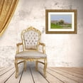 thumbnail image 3 of Illg, Cathy and Gordon 18x13 Gold Ornate Wood Framed with Double Matting Museum Art Print Titled - Scotland, Shetland Islands Ewe mother and lamb, 3 of 4