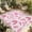 Pink, variant on Sage Green Leaf Outdoor Rug for Patio/Deck/Porch, Non-Slip Large Area Rug 5 x 7 Ft, Vintage Botanical Ferns Country Plant Indoor Outdoor Rugs Washable Area Rugs, Reversible Camping Rug Carpet Runner