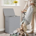 thumbnail image 2 of BGTREND 150L Double Laundry Hamper with Lid, 2 Removable Washing Bags with Handles, Large Clothes Sorter for Easy Separation (Gray), 2 of 10