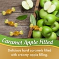 thumbnail image 2 of Werther's Original Hard Apple Filled Caramel Candy, 5.5 oz, 2 of 7