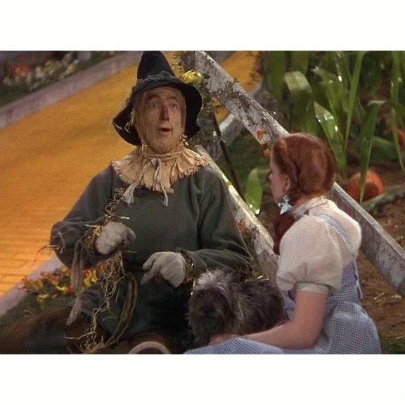 Full Round Drills The Wizard of Oz Scarecrow Diamond Painting Kit DIY Cross Stitch Rhinestone Mosaic Home Decoration Gift