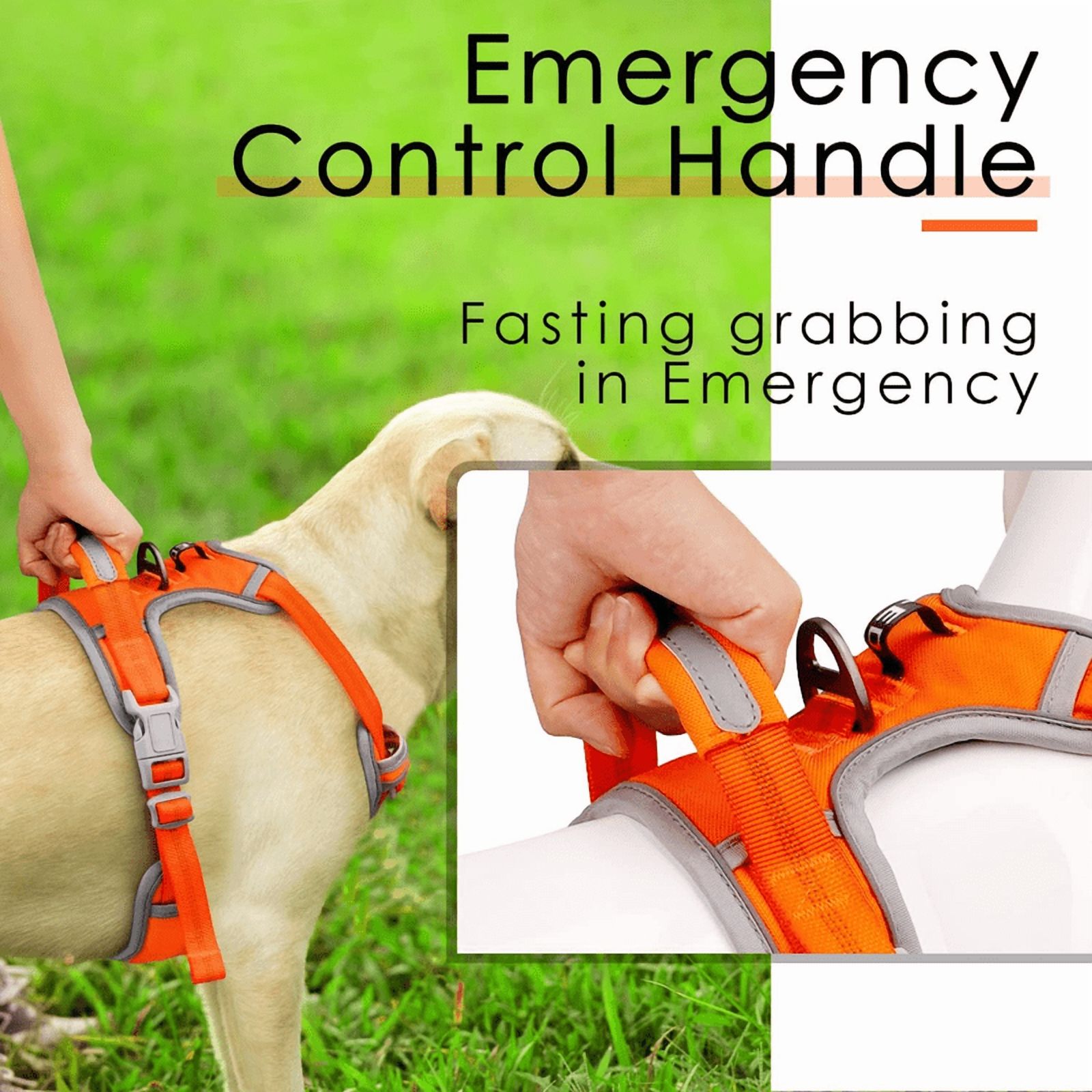 ThinkPet No Pull Harness Set Breathable Sport Harness with Handle - Reflective Padded Dog Safety Vest with Reflective Neon Dog Leash