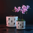 thumbnail image 5 of EFISPSS 2 Pack 5+6 inch white orchid pots with holes and removable trays, assist new plants or repotting, 5 of 8