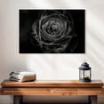 thumbnail image 2 of Elephant Stock Black Baccara Rose Wall Art - Horizontal Canvas Wall Art - Living Room Wall Decor - Gothic Canvas - Black And Gray Decor - 24" x 16", 2 of 8