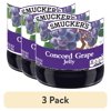 (3 pack) Smucker's Concord Grape Jelly, 48 oz