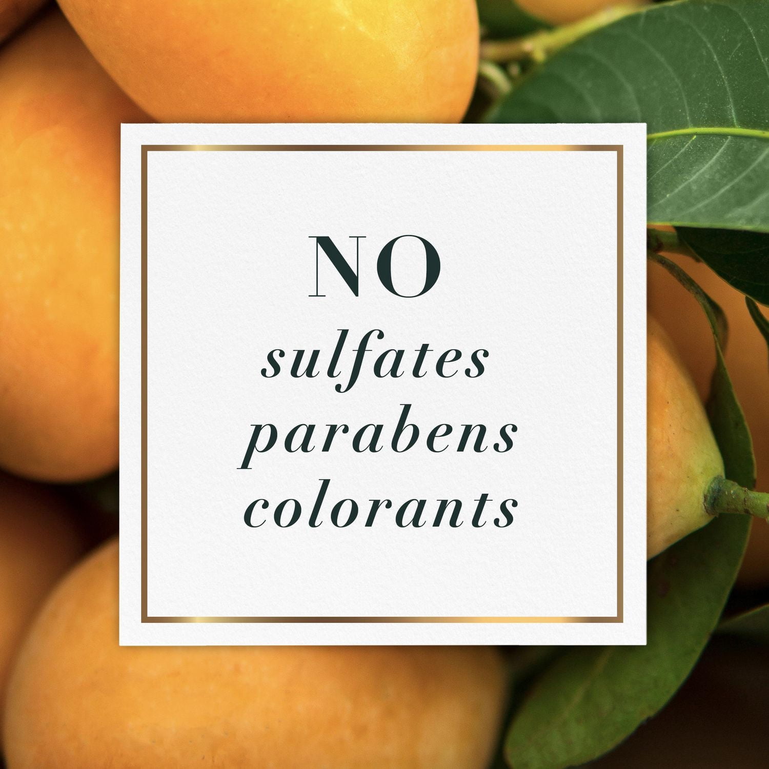 Bruine rafraîchissante Herbal Essences pour cheveux bouclés, mangue et huile d’aloès