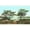 Unframed, variant on Art.com Torrey Pines, San Diego County, California Art Print, 18" x 12"