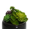 thumbnail image 4 of Bornbridge Artificial Succulent Plants in Planter -  Mini Succulent Plants - Madera, 4 of 7