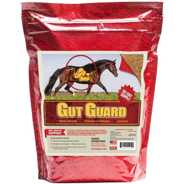 Horse Gut Health