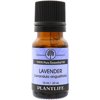 Plantlife Lavender Aromatherapy Essential Oil - Straight From The Plant 100% Pure Therapeutic Grade - No Additives or Fillers - 10 ml