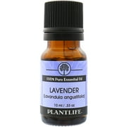 Plantlife Lavender Aromatherapy Essential Oil - Straight From The Plant 100% Pure Therapeutic Grade - No Additives or Fillers - 10 ml