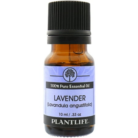 Plantlife Lavender Aromatherapy Essential Oil - Straight From The Plant 100% Pure Therapeutic Grade - No Additives or Fillers - 10 ml