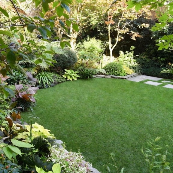 35000 Zoysia Grass Seed, Easy Care Lawn Grass