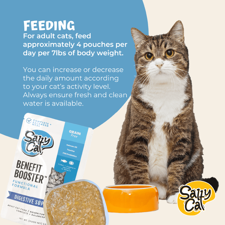 (6 pack) Salty Cat Benefit Booster Digestive Support Tuna & Pumpkin Entrée in Gravy Wet Cat Food, 3 oz. Pouch
