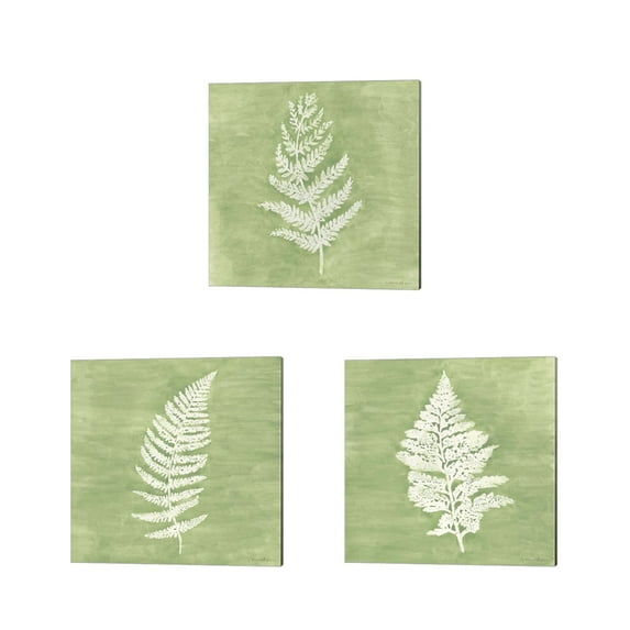 Great Art Now Forest Ferns by Vanna Lam 3 Piece Canvas Art Set Each 14"W x 14"H