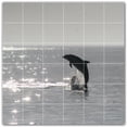thumbnail image 1 of Picture-Tiles.com: Dolphin Ceramic Tile Wall Mural WAL500505-66L. 48"W x 48"H using (36) 8" x 8" Ceramic Tiles-Satin Finish, 1 of 3