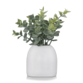 thumbnail image 1 of Bouclair Green Artificial Eucalyptus in Ceramic Pot, 1 of 4