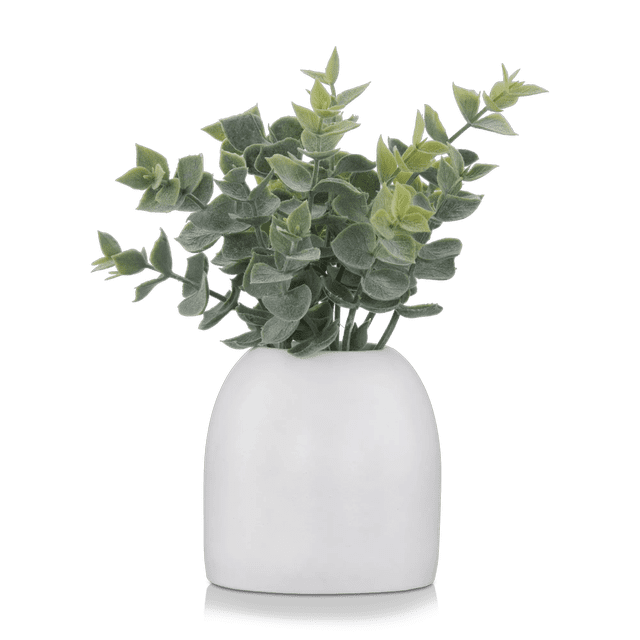 Bouclair Green Artificial Eucalyptus in Ceramic Pot