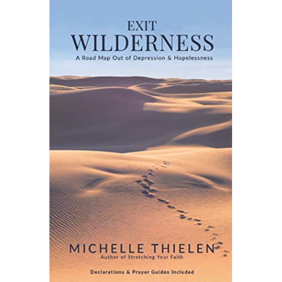 Pre-Owned Exit Wilderness: A Roadmap Out of Depression and Hopelessness, 9798664695564, , Paperback,