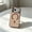 Gold, variant on For iPhone 18 Pro Clear Magnetic Phone Case, Strong Magnetic Wireless Charging Compatible, Hard PC Transparent Cover, Ultra-Slim Lightweight Anti-Scratch Drop Protection, Precise Fit,White
