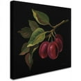 thumbnail image 2 of Trademark Fine Art "Prune No Words" Canvas Art by Silvia Vassileva, 2 of 3