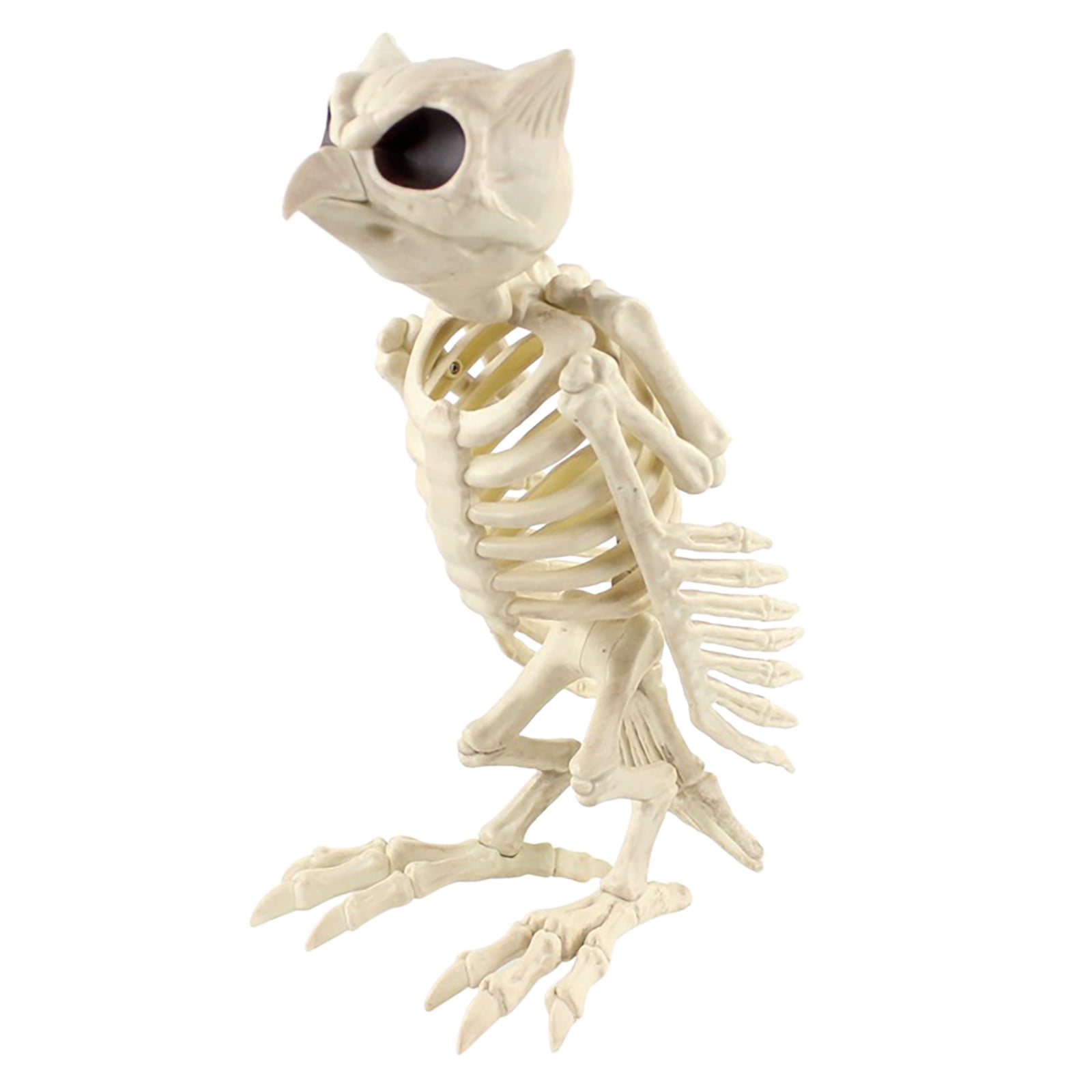USSUMA 2022 Halloween Skeleton Prop Animal Bones Party Shop Decoration  Horror Clearance Sale 