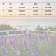 thumbnail image 2 of Ailaofu Womens Wool Blend Embroidery Floral Oversized Fit Sweater Trendy 2025, 2 of 6